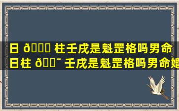 日 🍁 柱壬戌是魁罡格吗男命（日柱 🐯 壬戌是魁罡格吗男命婚姻）